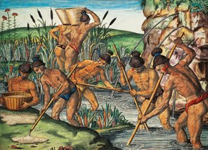 Goudzoekers in Florida, gekleurde gravure uit Brevis Narratio