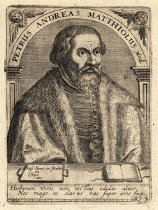 Pietro Andrea Gregorio Mattioli, Italiaanse arts door Theodore de Bry