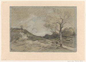 Duinlandschap
