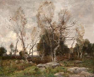Landschap