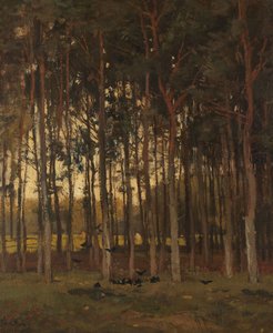  door Theophile de Bock