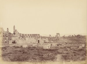 Overzicht van Karnak inclusief Overdekte Wandelgang van Tothmes III