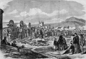 Ivoor- en huidenmarkt in Grahamstown, Albanië, Kaapkolonie