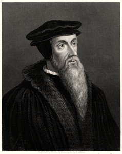 Calvijn