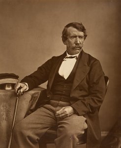 David Livingstone door Thomas Annan - Origineel door Thomas Annan