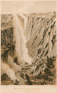 De Victoria Falls