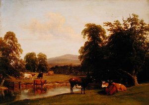 Scène in Enville