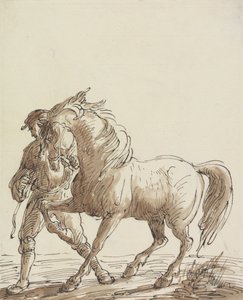 Man die een paard leidt