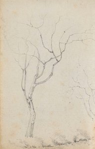 Studie van kleine bomen met lage struiken eronder (verso) door Thomas Baxter