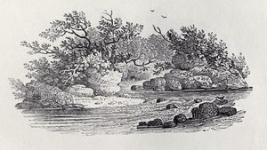 Een bocht in de rivier uit 