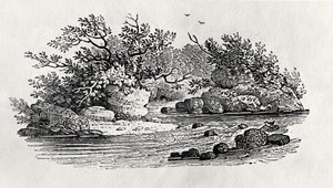 Een bocht in de rivier, uit 