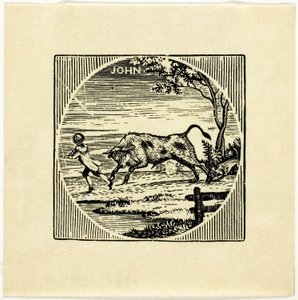 Boekillustratie