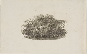 Sluitstuk: Man in Struik door Thomas Bewick