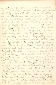 Dagboeken van Thomas Butler Gunn door Thomas Butler Gunn