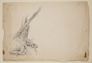 Gebroken stam van een boom door Thomas Cole