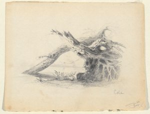 Schets van twee dode bomen