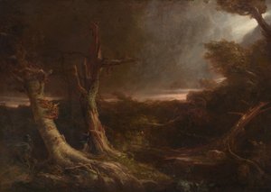 Tornado in een Amerikaans Bos