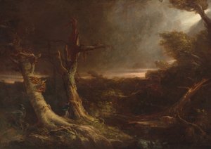Tornado in een Amerikaans bos