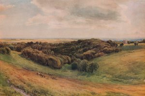 Arundel Park, 1874 door Thomas Collier