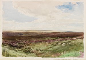 Heide nabij Hart Leap Well, Yorkshire door Thomas Collier