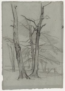 Landschapsstudie met Bomen