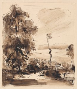 Een landweg met huisjes