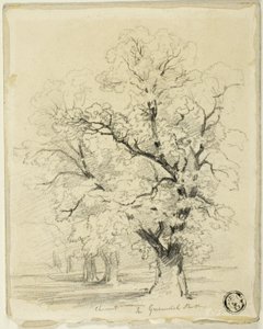 Moer in Greenwich Park