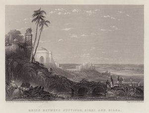 Ruïnes tussen Futtipur, Sikri en Biana