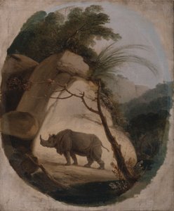 De Indische Neushoorn