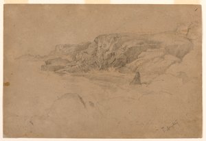 Studie uit de natuur door Thomas Doughty