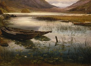 Boten en Waterlelies door Thomas Fearnley