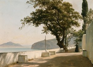 Terras met steeneik, Sorrento