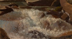 Wildwater. Natuurstudie