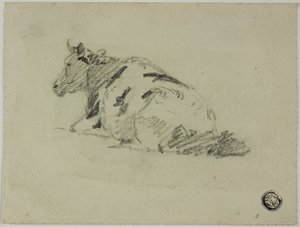 Koe