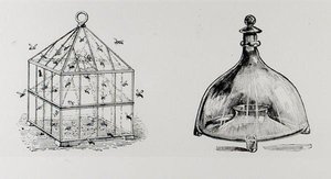 Wespen- en vliegenvallen, uit Thomas Mawson