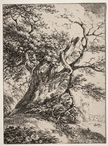 Specimens van Polyautografie: Landschap met een eik, 1803 door Thomas Hearne