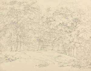 Bomen in Ashtead Park, Surrey door Thomas Hearne