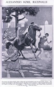 Alexanders paard, Bucephalus: het paard was glanzend zwart met een witte ster op zijn voorhoofd, ca 1950 (litho) door Thomas Heath Robinson