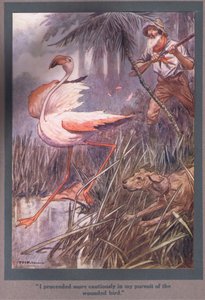 Ik ging voorzichtiger te werk in mijn achtervolging van de gewonde vogel (kleurenlitho) door Thomas Heath Robinson