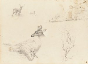 Schetsboek van landschap- en dieronderwerpen, 1860-64 door Thomas Hewes Hinckley