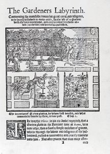 Prieel gebouwd als schaduw tegen de zon en planten in verhoogde bedden, uit The Gardeners Labyrinth, 1577 door Thomas Hill