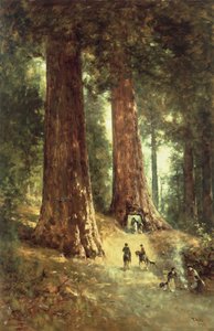 In de Redwoods, 1899 door Thomas Hill