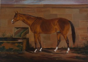 Portret van Lexington door Thomas J. Scott