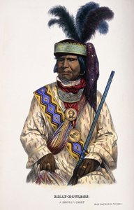 Billy-Bowlegs, Een Seminole Hoofdman, 1899 door Thomas Loraine McKenney
