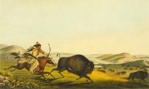 Buffeljacht, 1848