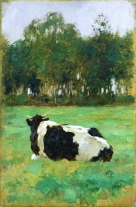 Een Koe in de Weide