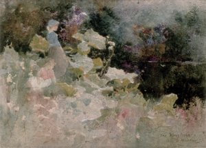 De ijsvogel, 1899