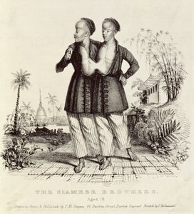 De Siamese broers, 18 jaar oud, gedrukt door Charles Hullmandel, ca. 1829