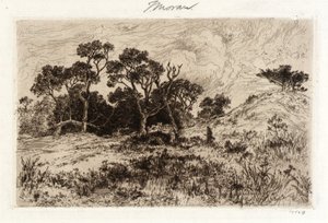 Een zuidenwind door Thomas Moran
