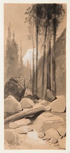 In de Yosemite Vallei